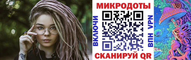 Галлюциногенные грибы Psilocybe где можно купить блэк спрут зеркало Абинск