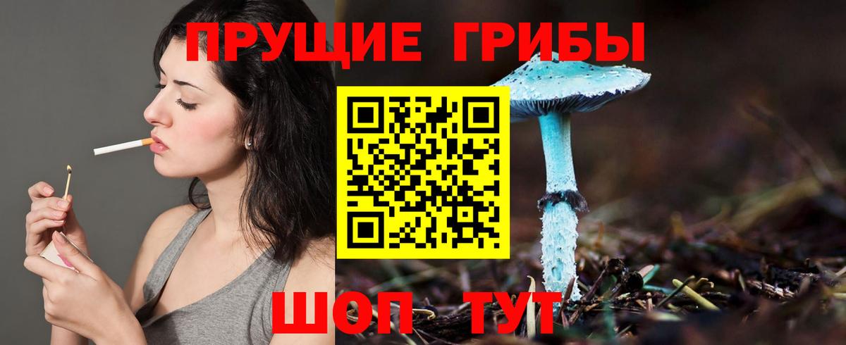 Абинск  где купить наркотик  Вход с VPN  Псилоцибиновые грибы Psilocybine cubensis 